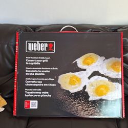 Weber Griddle Insert