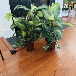 Artificial Plants With Pot Set 2