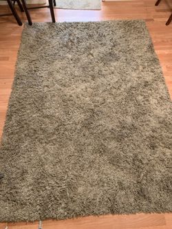 Living room/ Dining room rug