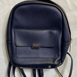 Small black Backpack purse