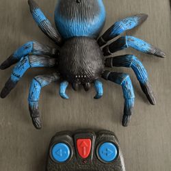 Remote Control Tarantula for Kids with LED Eyes – Realistic Spider Toy with M...