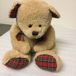 Angry bear