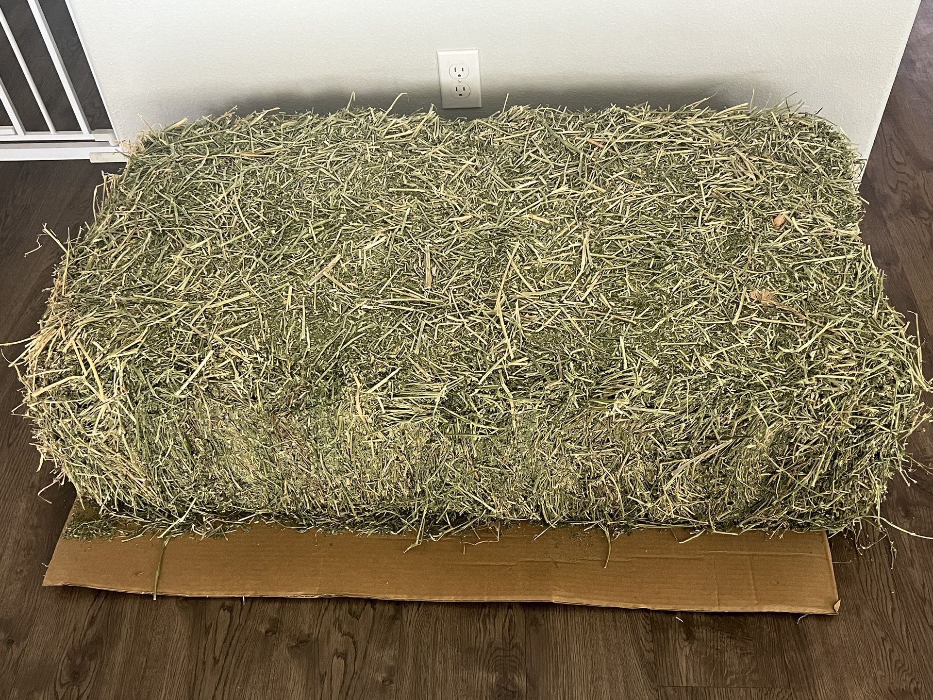 Free Alfalfa Hay Feed