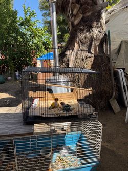 Slightly used small bird cage no pets included