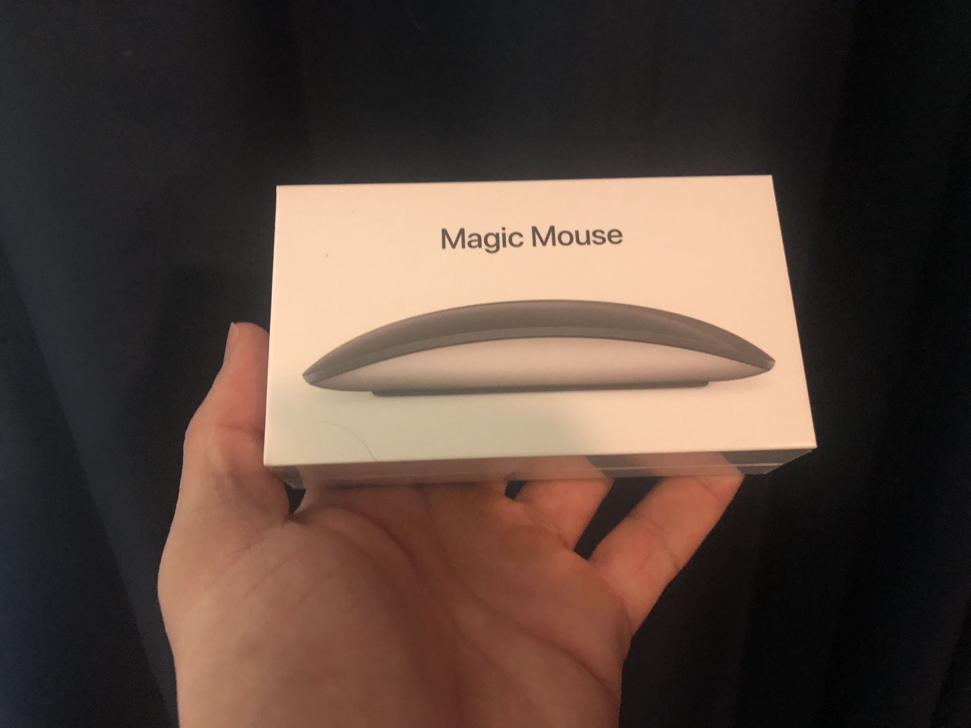 IOS Magic Mouse