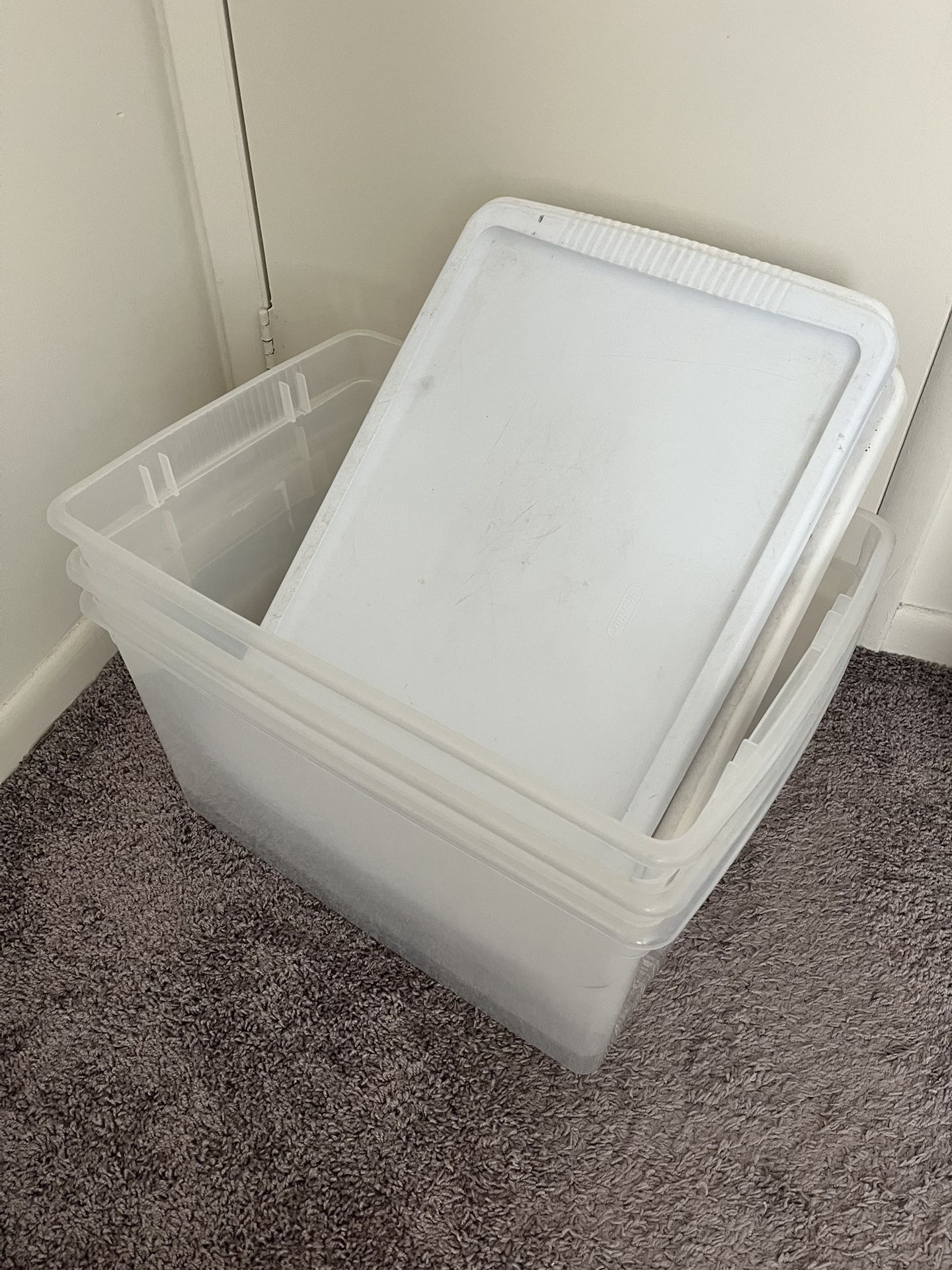 Sterilite Containers With Lids x3