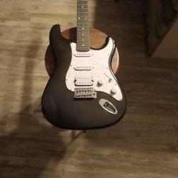 Washburn Electric 