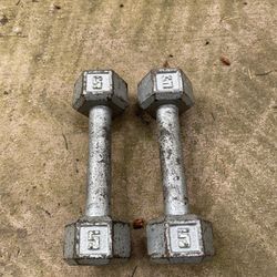 5 Lbs Dumbbell 