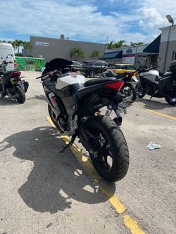 Vitacci Titan 250