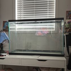 40 Gallon Tank OBO