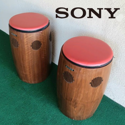 RARE Sony SS-9500 Vintage MCM Design Bongo Speakers Awesome!