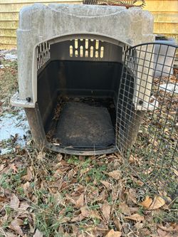 Dog Kennel