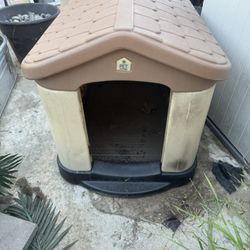 Dog House 