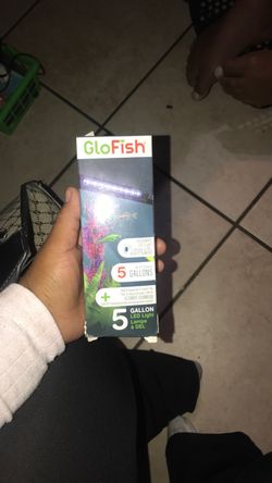 Glow fish led lights