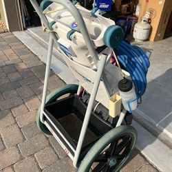 Hammerhead Pool Cleaner