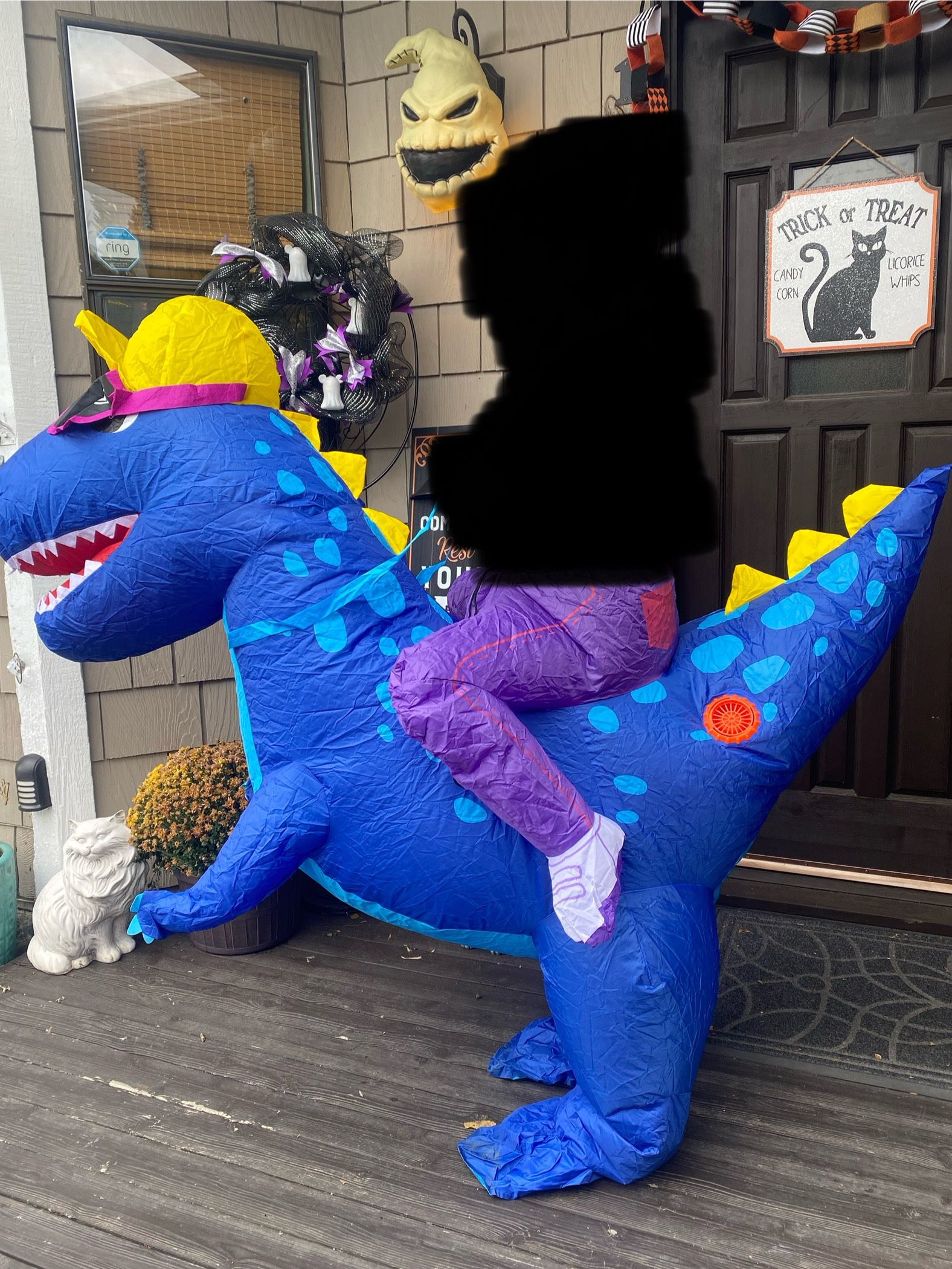 Inflatable Dinosaur W/Sunglasses Ride on Halloween Costume