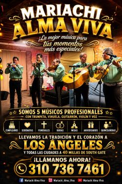 Violines trompetas mariachis