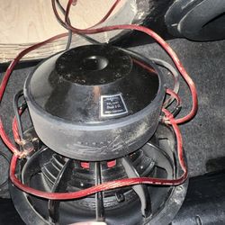 Skar Audio 12” Evl D2