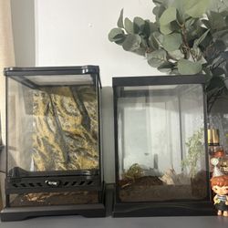 Terrariums