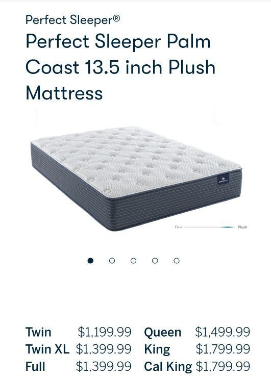 Serta Perfect Sleeper Palm Coast Queen Mattress And Adjustable Bed Base Over $2000 Value