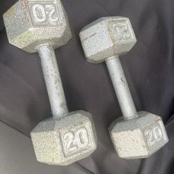 Hex 20lb Dumbells 