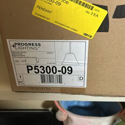 3 Progress Lighting Small Pendant Lights 