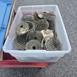 Roofing Nail gun nails