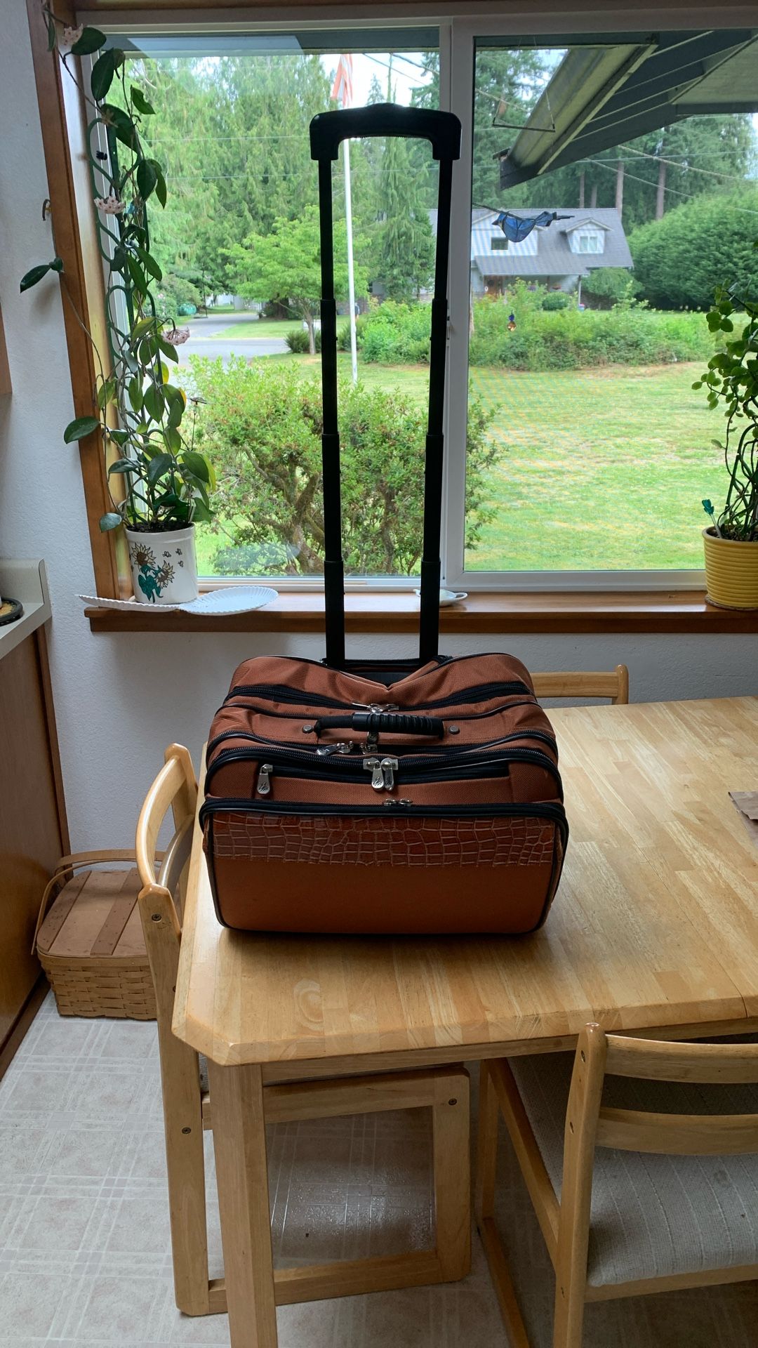 Roller carry-on