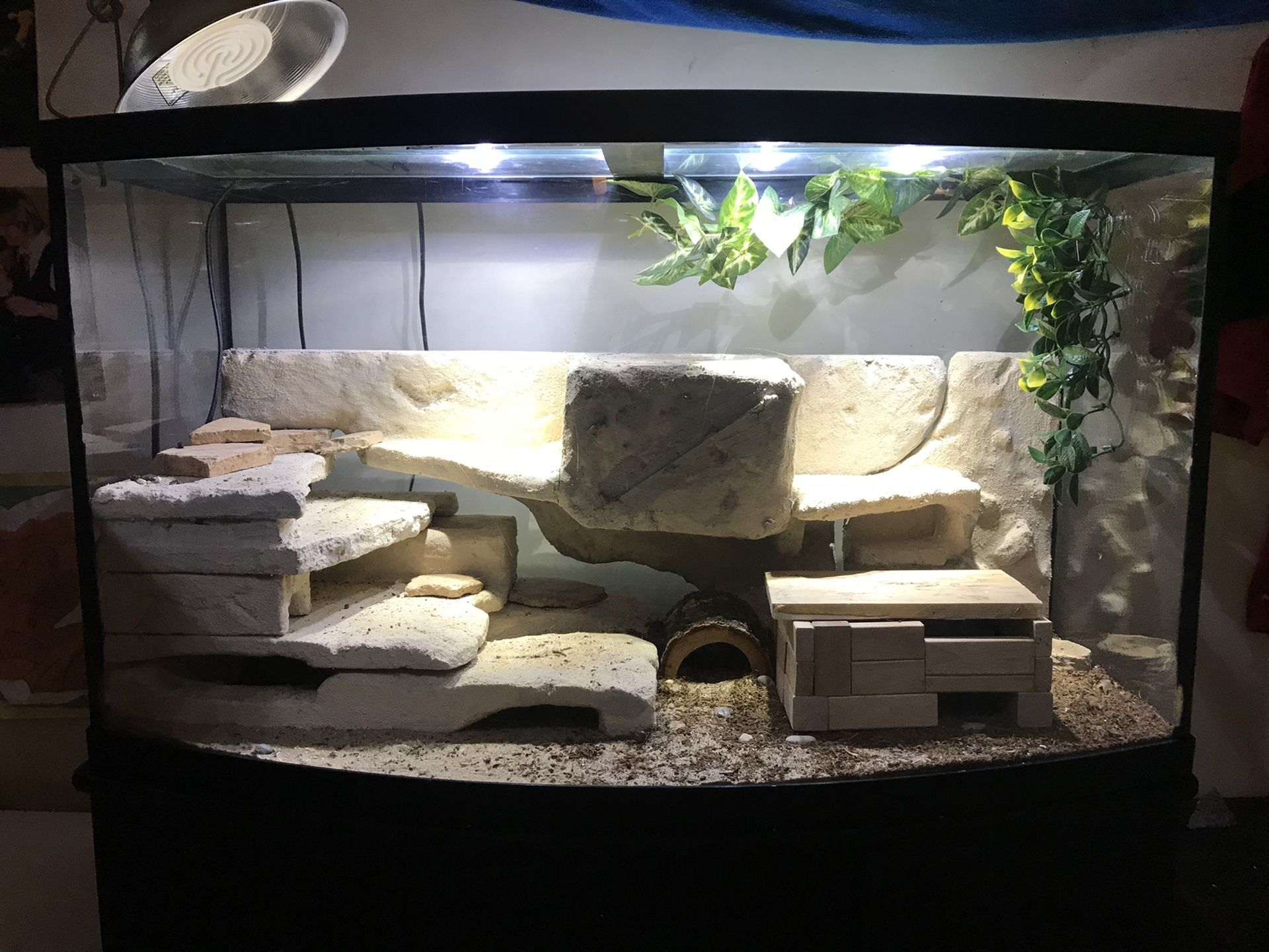 Aquarium / fish tank / terrarium