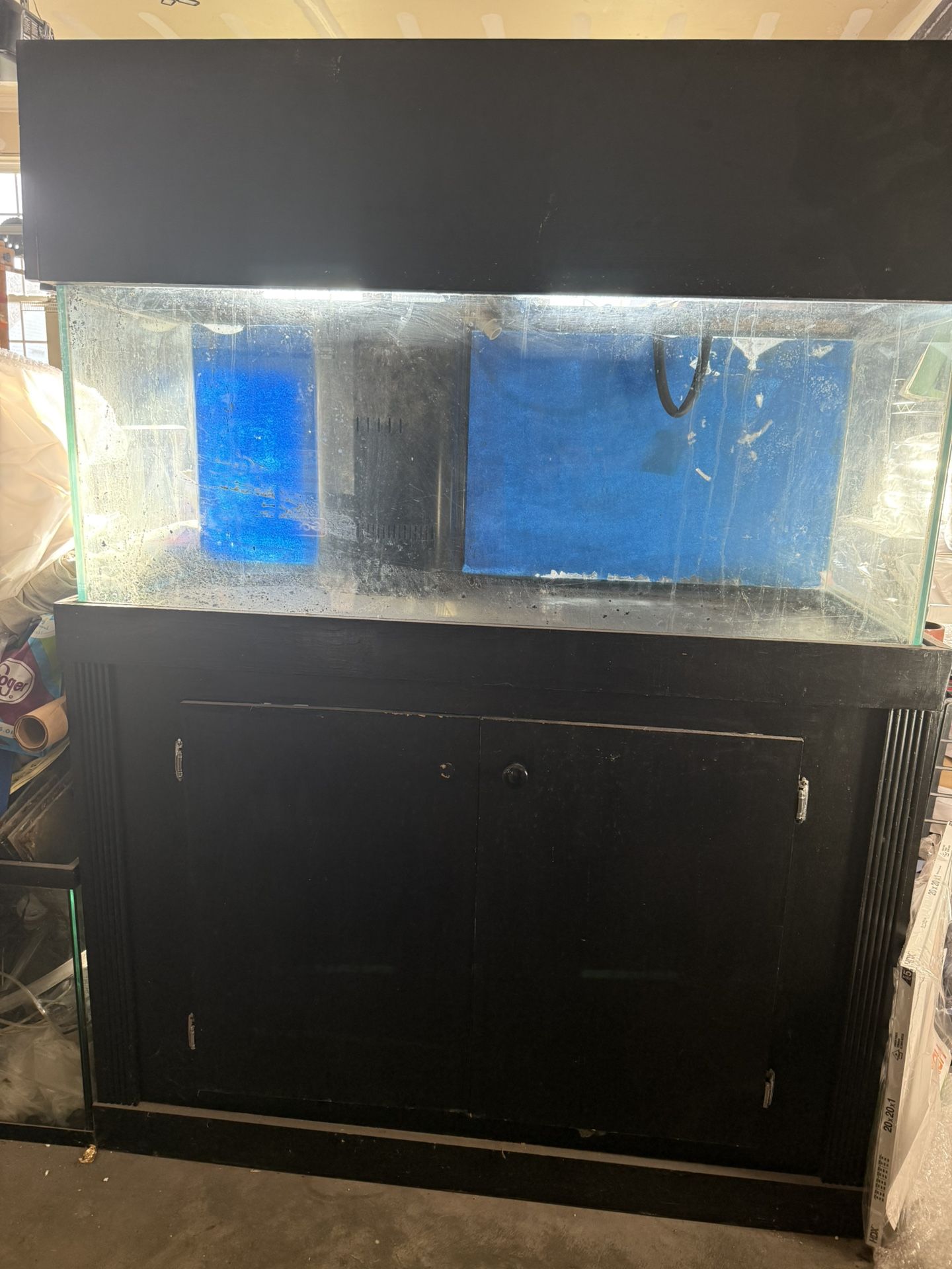 100 Gallon Fish Tank +extras