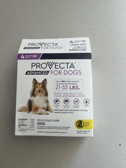 Provecta
