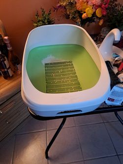 Cat Litter. Water Fountain. Sacratchy Catus