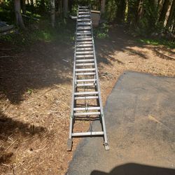 32' Aluminum Ladder 