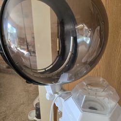 Pro Hair Steamer