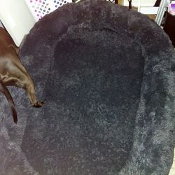 XL plush dog bed - black
