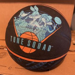 Spalding Space Jam Tune Squad 29.5" Full Size Basketball 2021