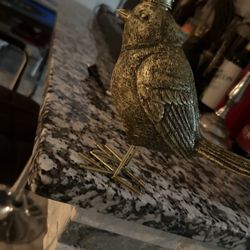 Perfect Bird