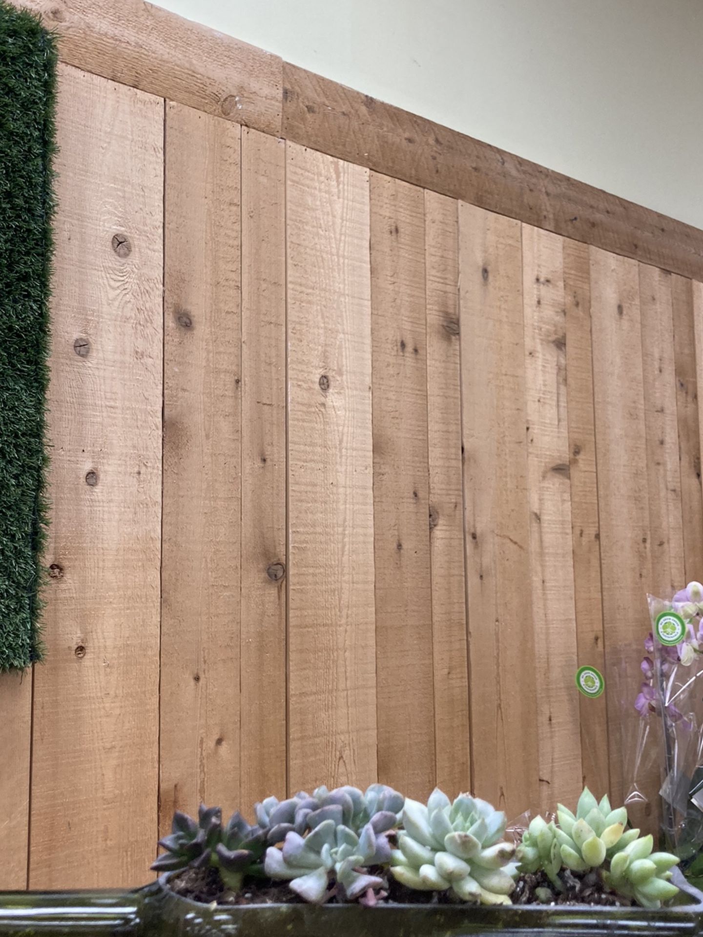 Wine bottle succulent