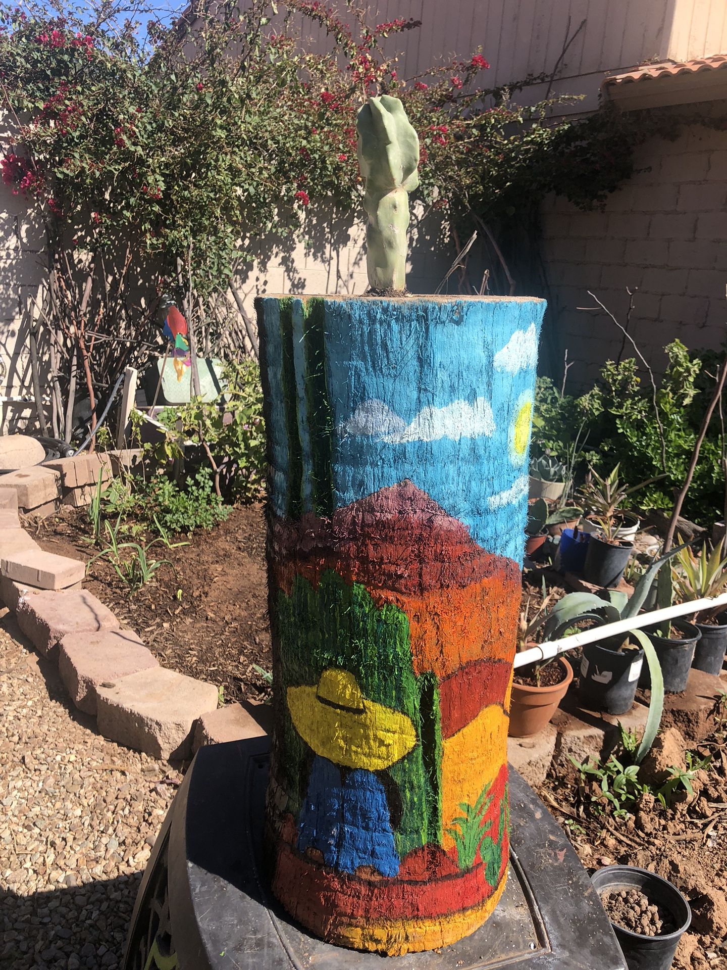 A Totem Pole Cactus in a Tree Trunk as a Planter pot (hand-painted)