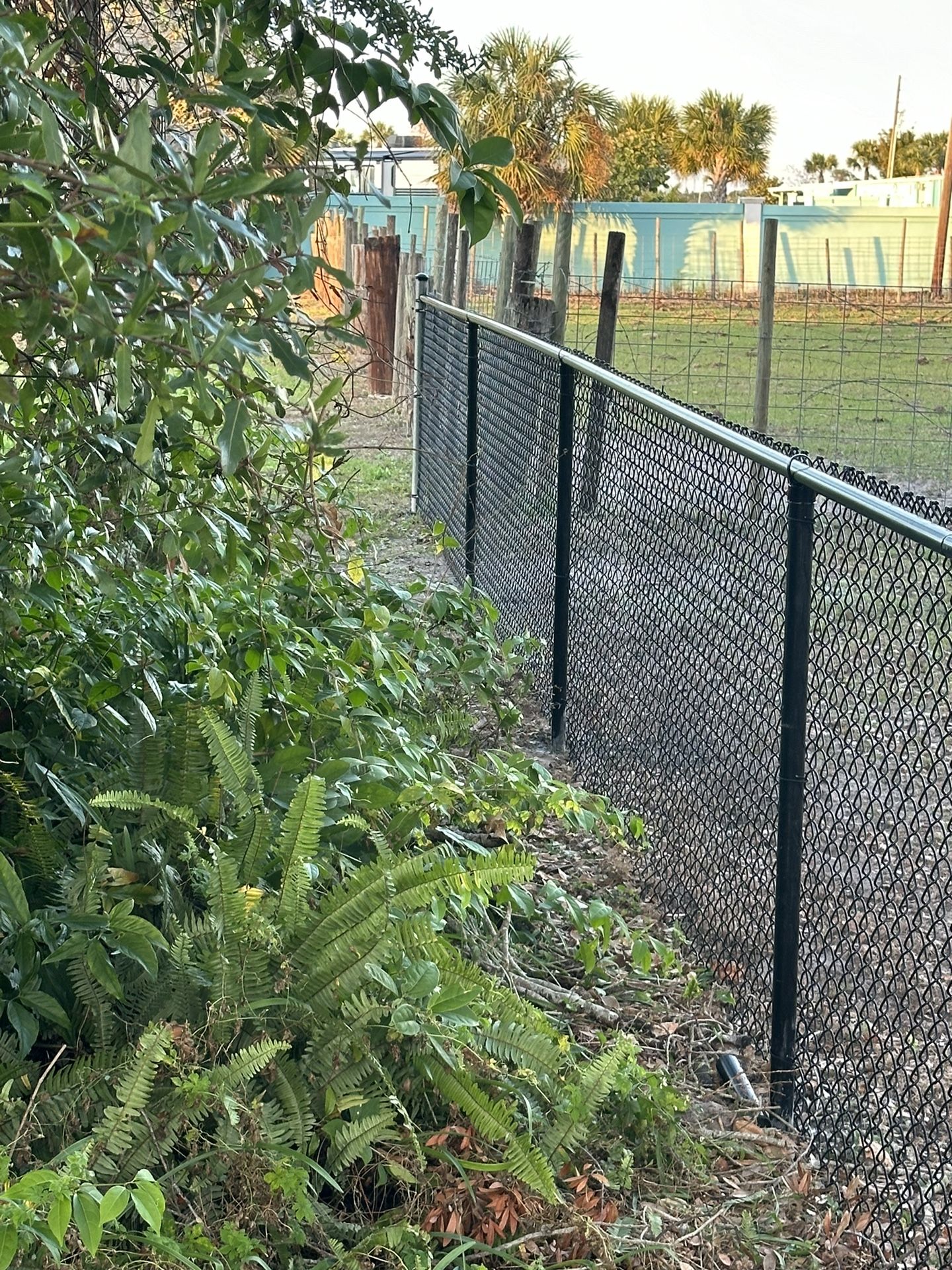 Fence