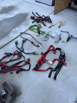 Arnes y Lanyards 