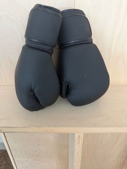Boxing gloves — $20/pair / 16 pairs available