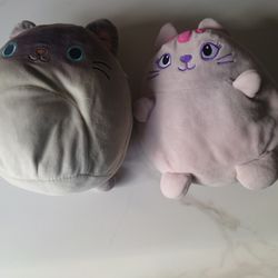 Cat Squishmallows 🐈😺🐅🐆😸🐈⬛