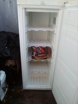 Stand up freezer works great