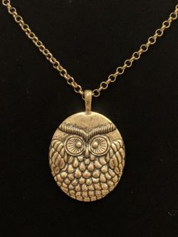 $10. Brass colored Owl pendant necklace. Necklace is 34 in. Pendant is 2.25 in long and 1.5 in wide.