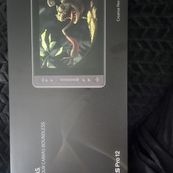 Drawing Tablet Kamvas Pro12