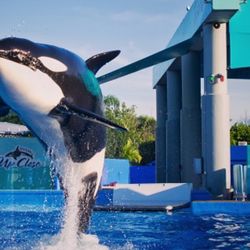 Sea World And Aquatica Tickets $25