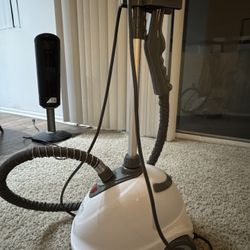 Professional Steamer