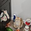 Tina 