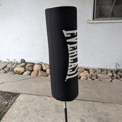 Everlast Punching Bag